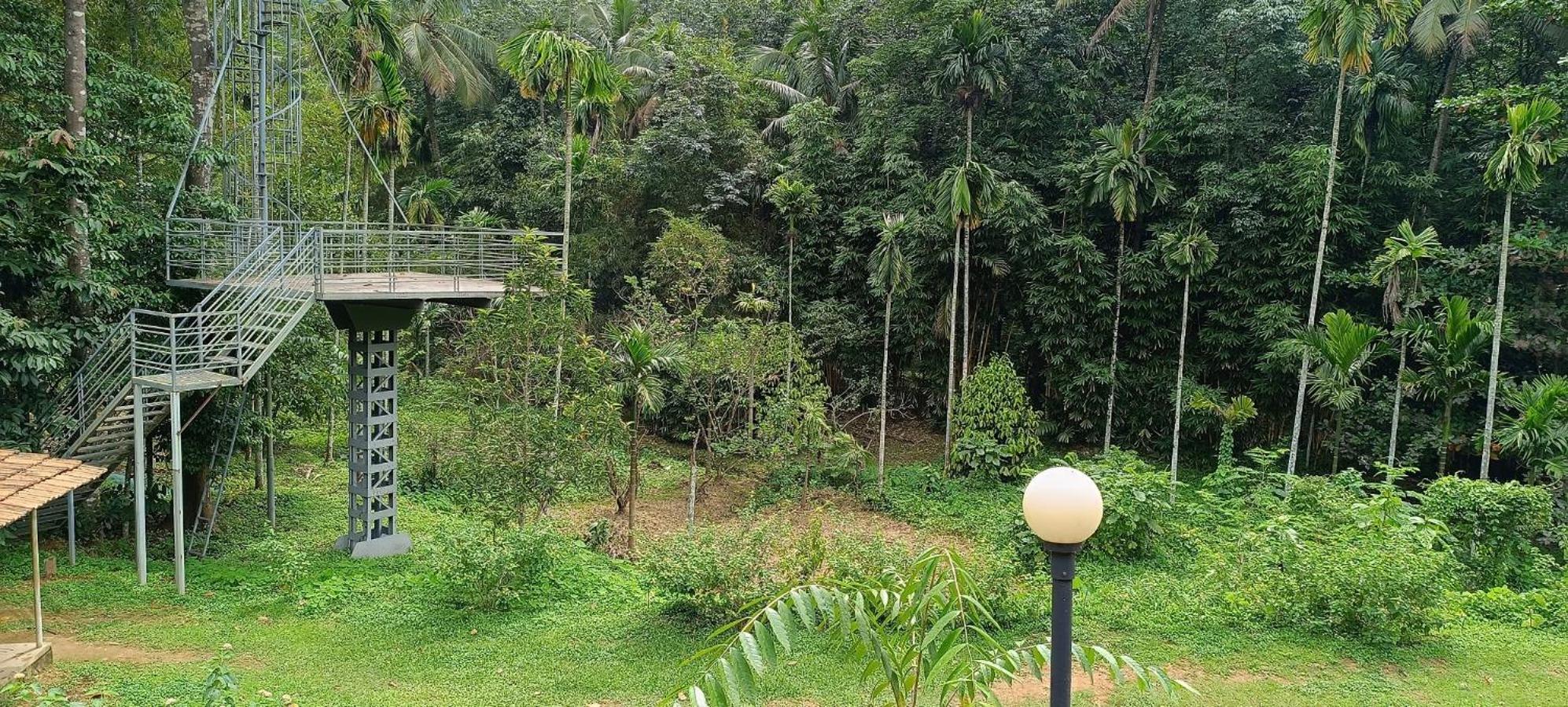 Thenmala Ecoresort Punalur Dış mekan fotoğraf